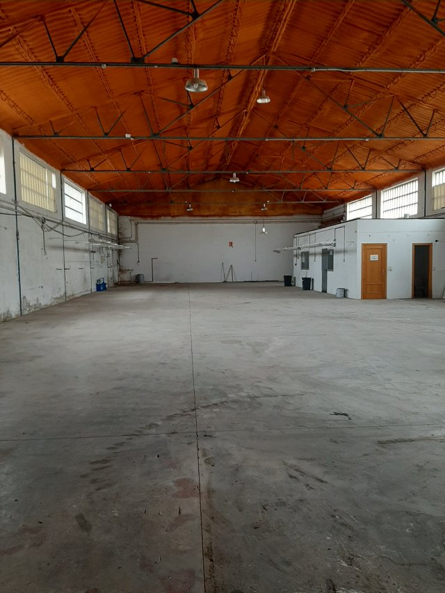 Foto 7