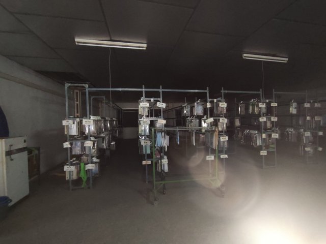 Foto 14